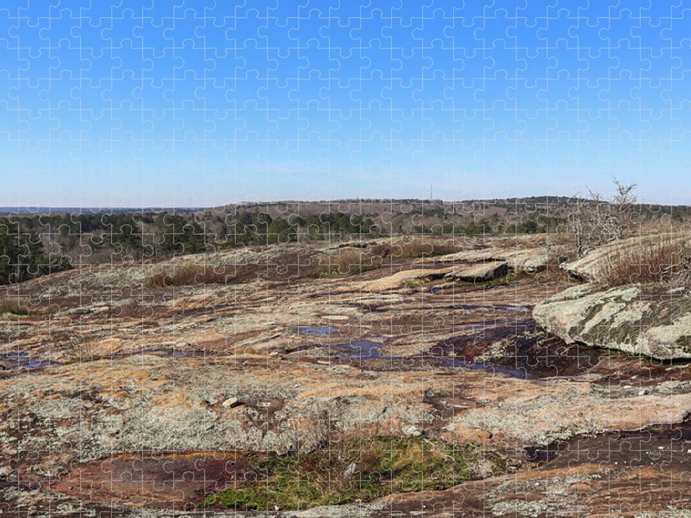 Arabia Mountain Jigsaw Puzzle featuring the photograph Arabia Mountain Summit View by Ed Williams