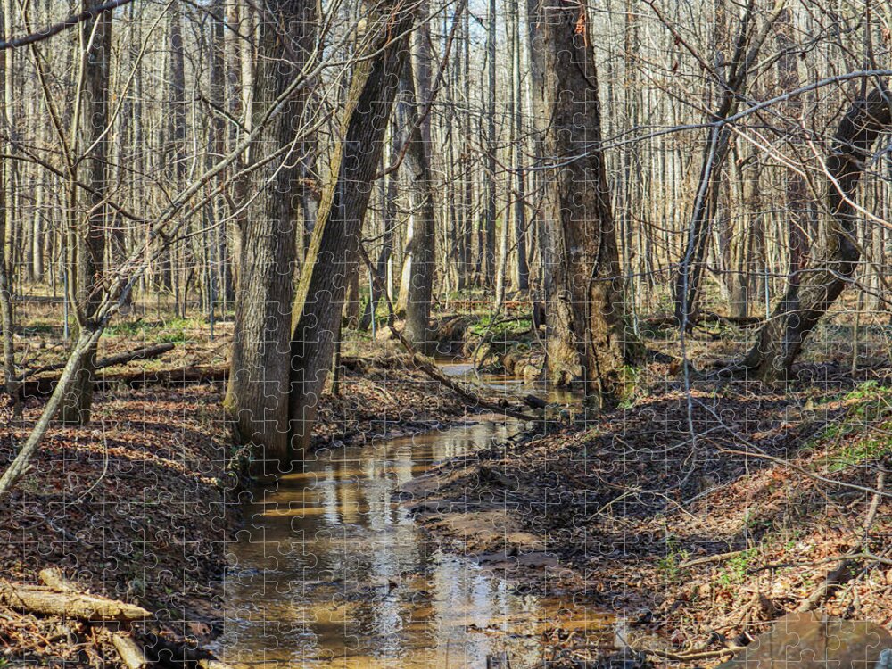 Arabia Mountain Jigsaw Puzzle featuring the photograph Arabia Mountain Woods Creek by Ed Williams