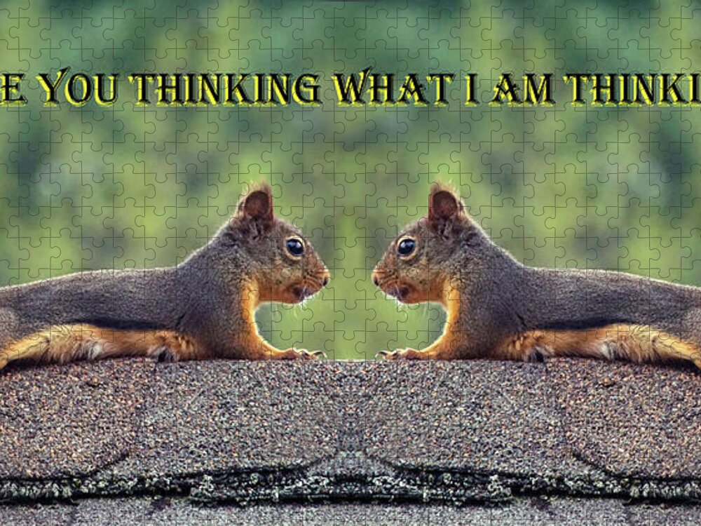 Squirrels Jigsaw Puzzle featuring the photograph Are You Thinking What I Am Thinking by Ben Upham III