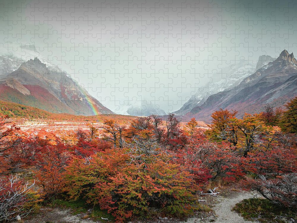 Meandering Paths Through Patagonia's Autumn Splendor Jigsaw Puzzle featuring the photograph Argentina Trails 6 by Ryan Weddle