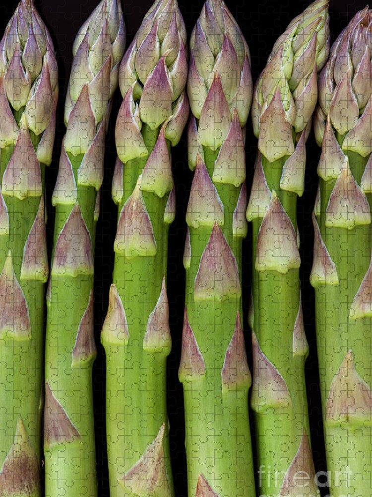 Asparagus Jigsaw Puzzle featuring the photograph Asparagus Spears by Tim Gainey