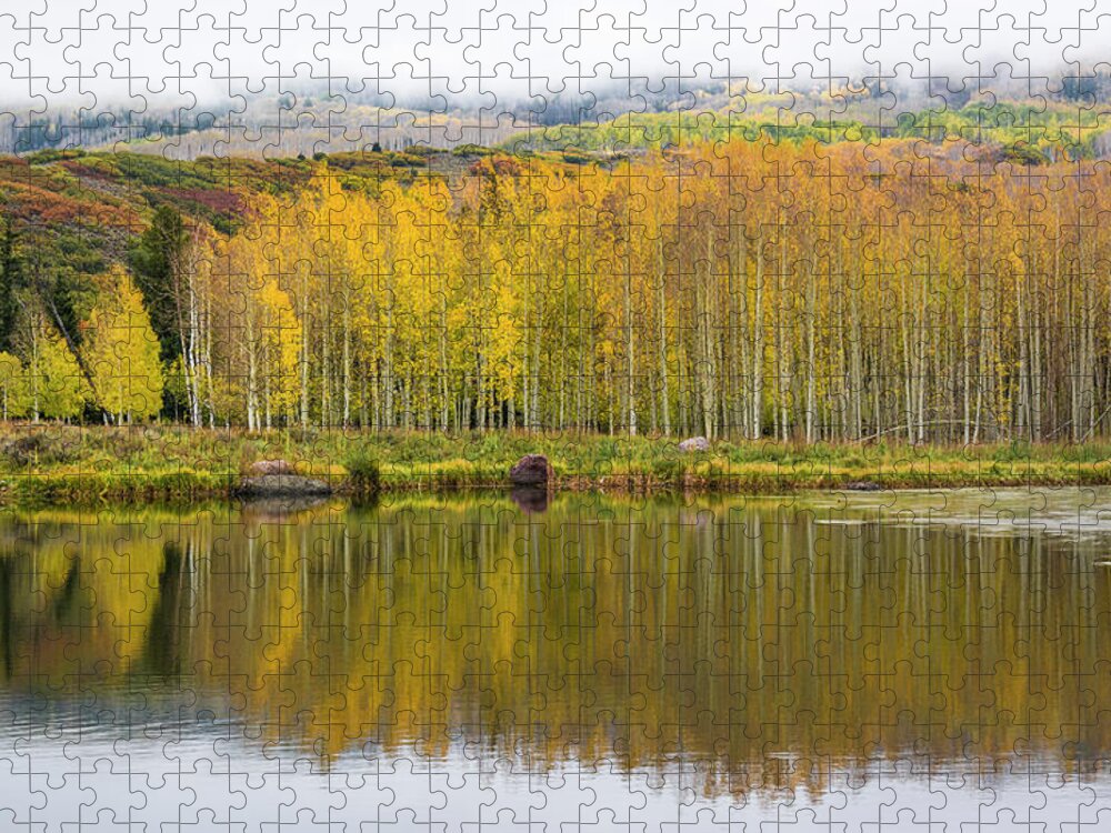 Aspen Jigsaw Puzzle featuring the photograph Aspen Reflection by Aaron Spong