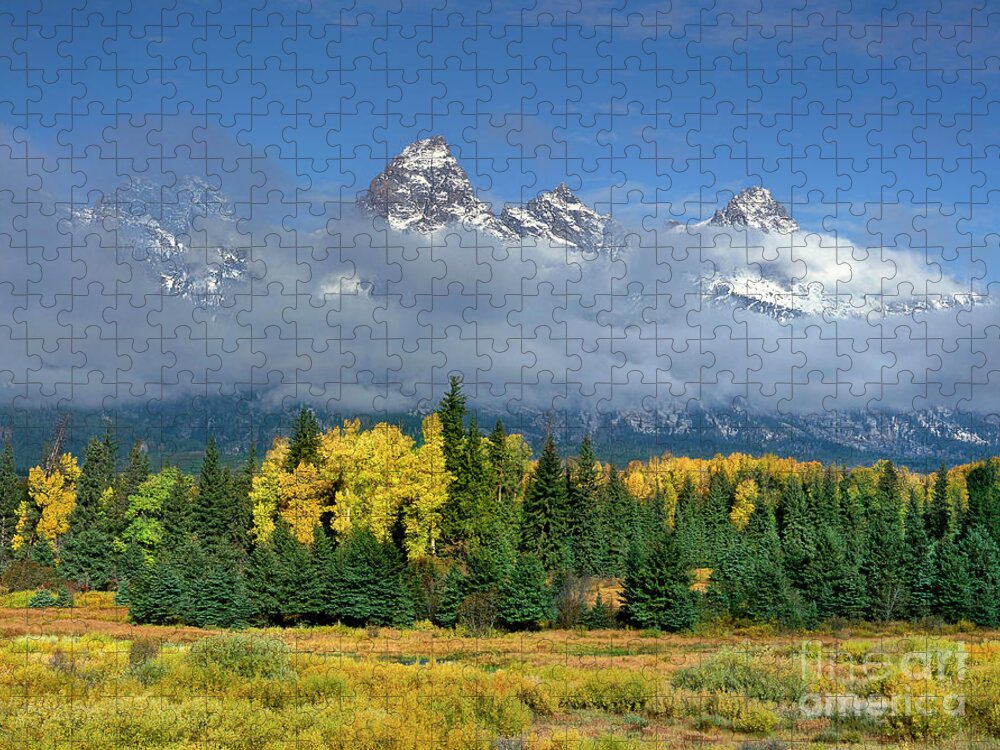 Dave Welling Jigsaw Puzzle featuring the photograph Aspens In Fall Color Below The Tetons Blacktail Ponds Grand Tetons National Park Wyoming by Dave Welling