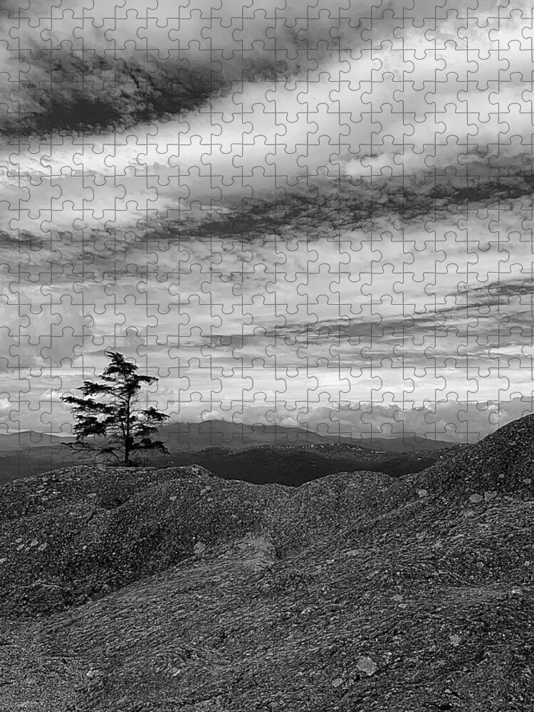 Nc Jigsaw Puzzle featuring the photograph Atop Grandfather Mountain BW by Lee Darnell