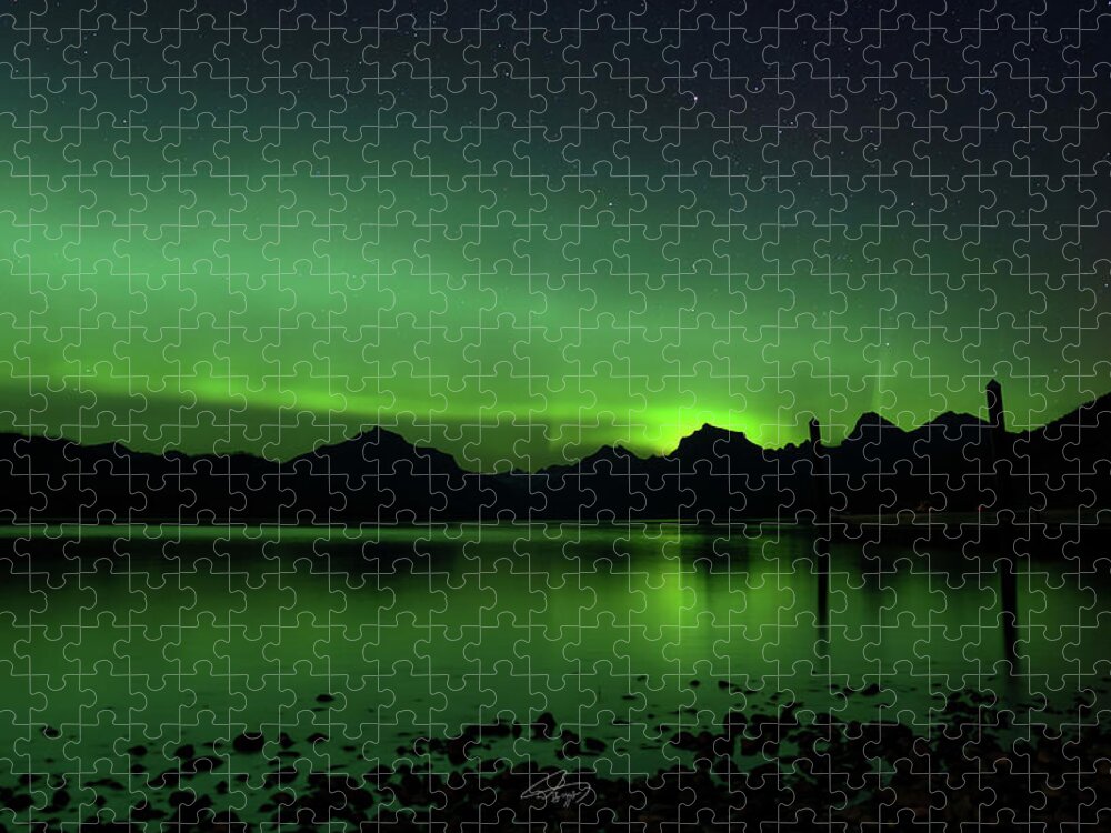  Jigsaw Puzzle featuring the photograph Aurora Borealis in Landscape by William Boggs