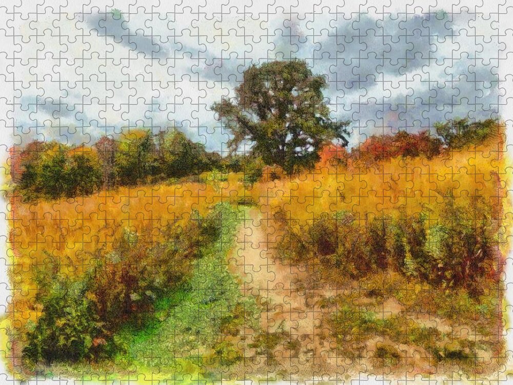 Field Jigsaw Puzzle featuring the mixed media Autumn Afternoon on the Trail by Christopher Reed