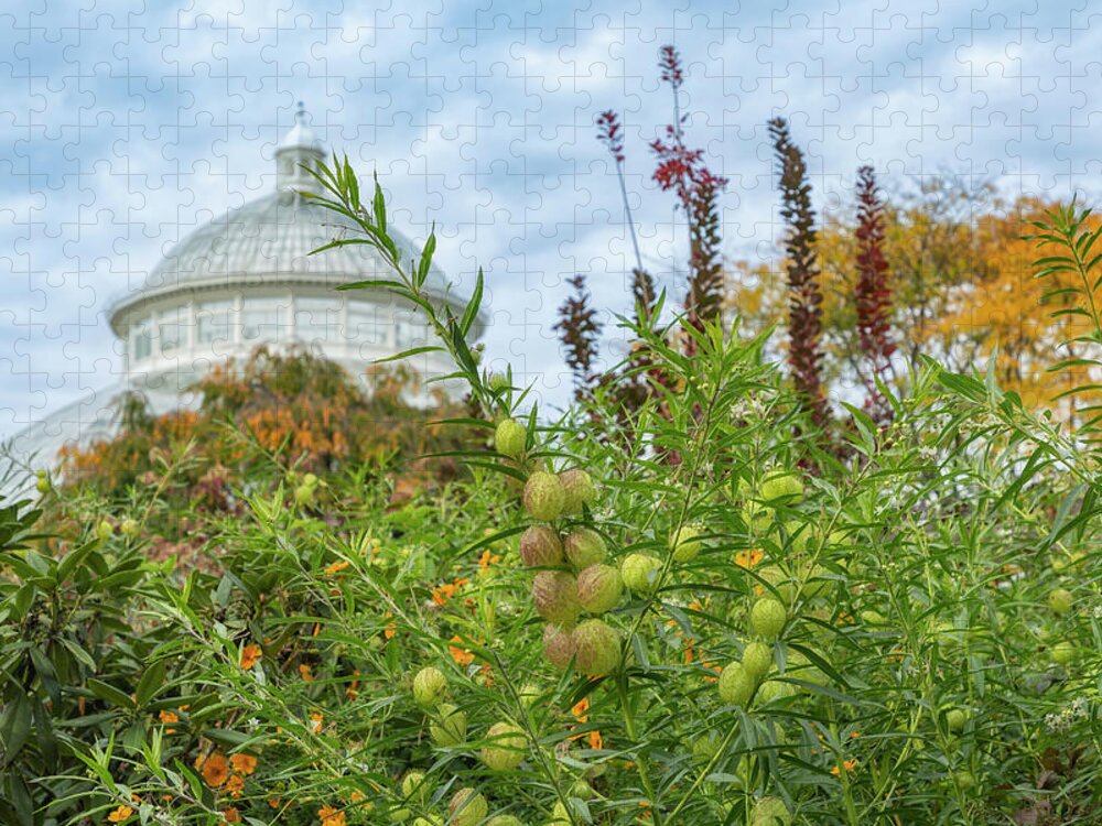 Bronx Botanical Gardens Jigsaw Puzzle featuring the photograph Autumn at the Bronx Botanical Gardens by Cate Franklyn