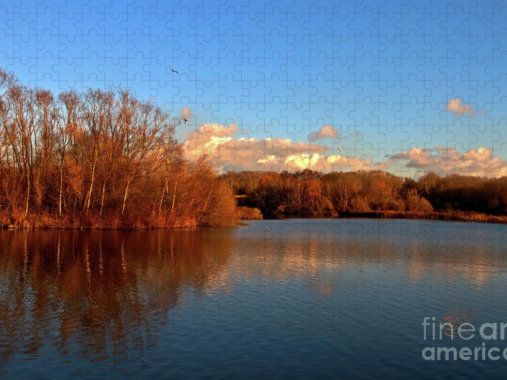 Landscape Jigsaw Puzzle featuring the photograph Autumn at the lake by Stephen Melia