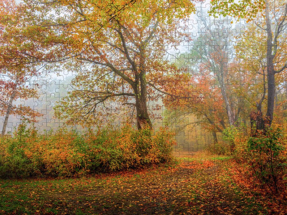 Autumn Jigsaw Puzzle featuring the photograph Autumn Colors 0901 by Greg Hartford