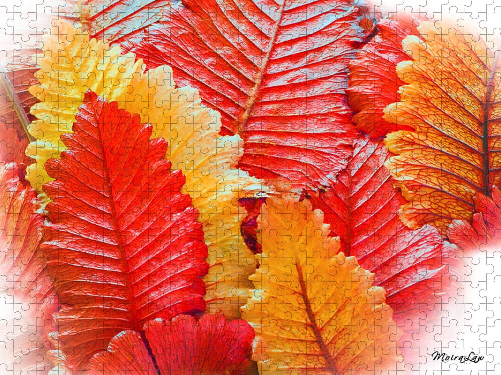 Autumn Jigsaw Puzzle featuring the mixed media Autumn Colours by Moira Law