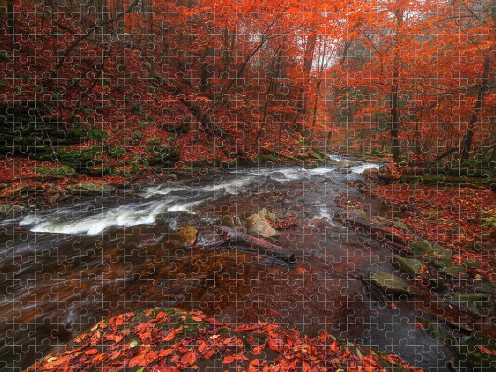 Fall Scenes Jigsaw Puzzle featuring the photograph Autumn Fire by Darren White