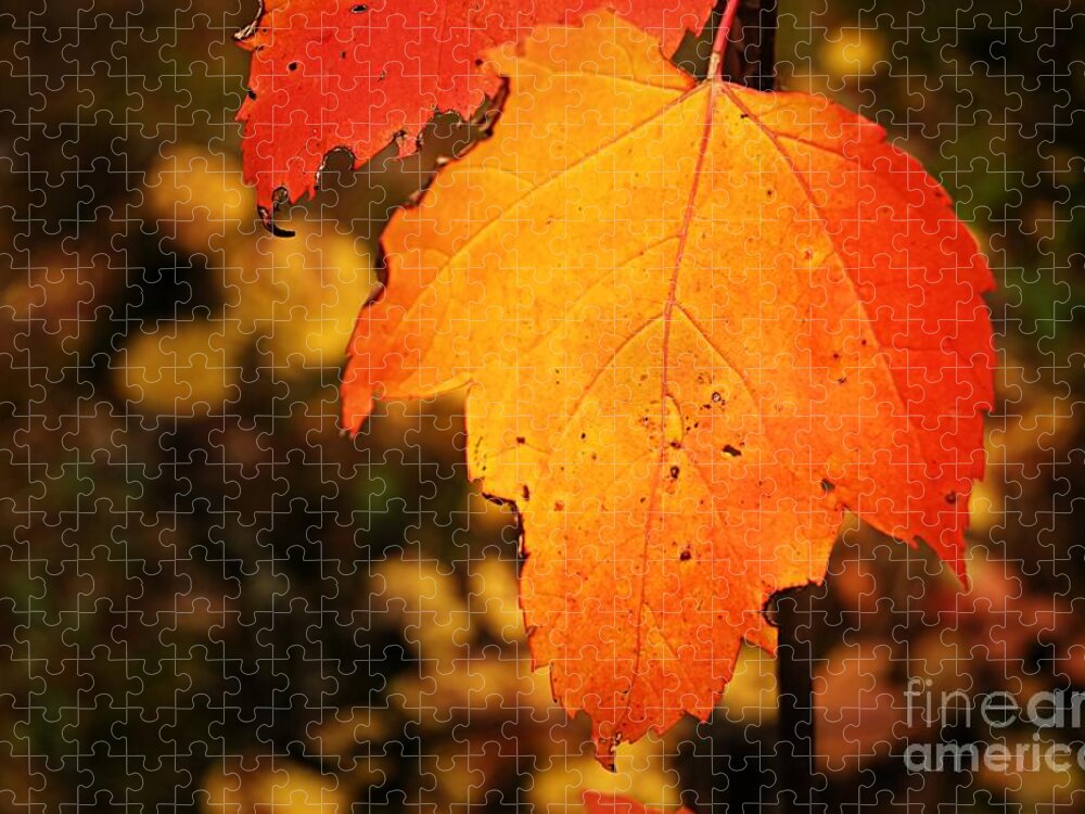Landscape Jigsaw Puzzle featuring the photograph Autumn Flame by Larry Ricker