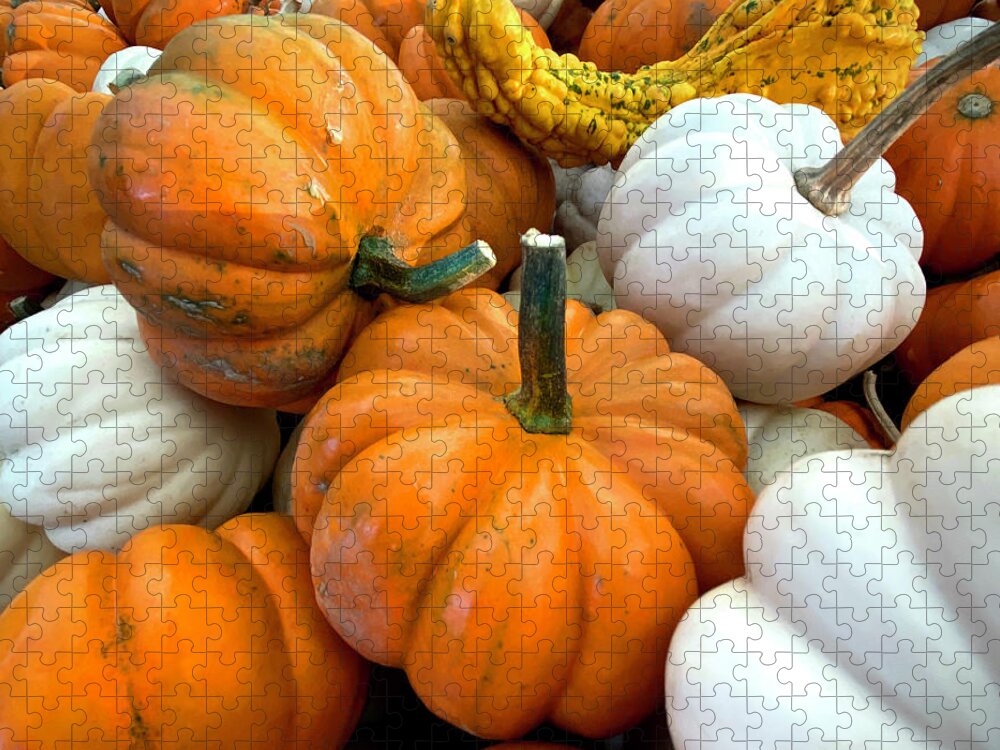 Pumpkin Jigsaw Puzzle featuring the photograph Autumn Harvest by CAC Graphics