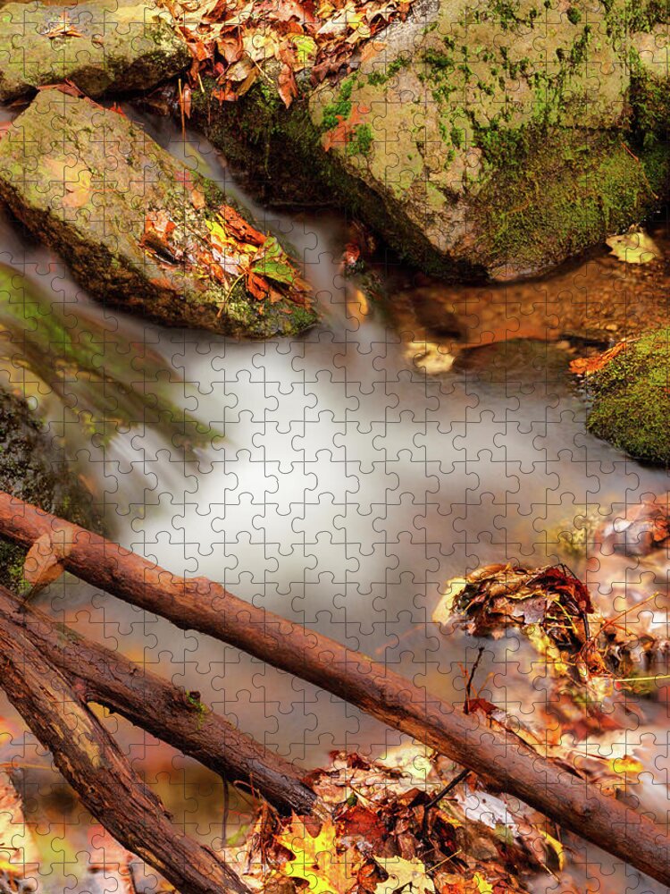 Fall Jigsaw Puzzle featuring the photograph Autumn Icy Waters fx by Dan Carmichael
