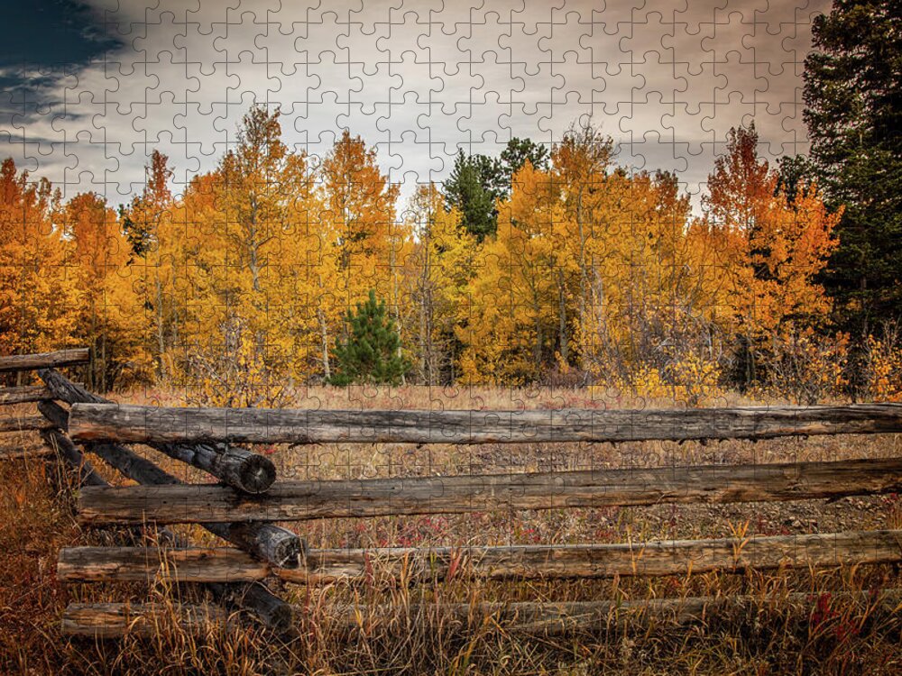 Colorado Jigsaw Puzzle featuring the photograph Autumn in Colorado by Kevin Schwalbe