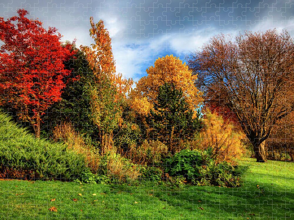 Fall Jigsaw Puzzle featuring the photograph Autumn in Inveresk by Micah Offman