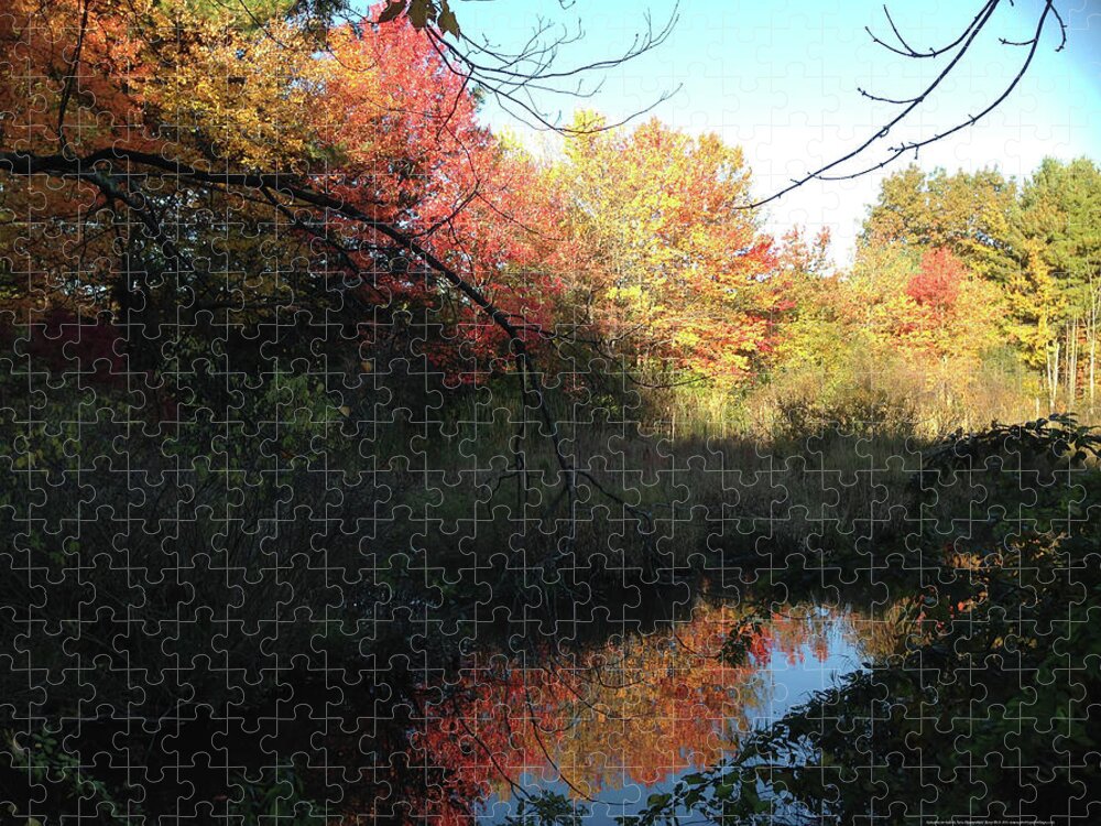 Salem Jigsaw Puzzle featuring the photograph Autumn in Salem by Roxy Rich