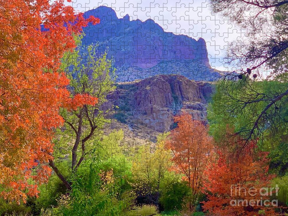 Autumn In Superior Arizona Jigsaw Puzzle featuring the digital art Autumn in Superior Arizona by Tammy Keyes