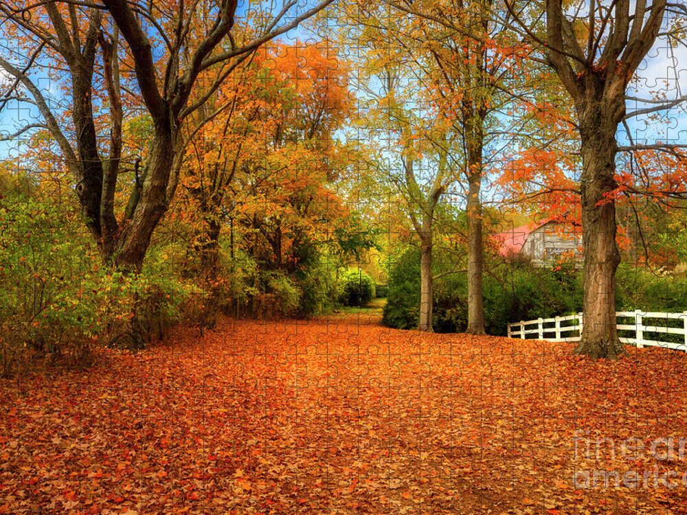 Autumn Jigsaw Puzzle featuring the photograph Autumn in the Country by Shelia Hunt