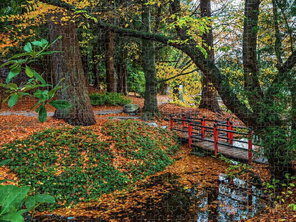 Alex Lyubar Jigsaw Puzzle featuring the photograph Autumn landscape in the city park by Alex Lyubar
