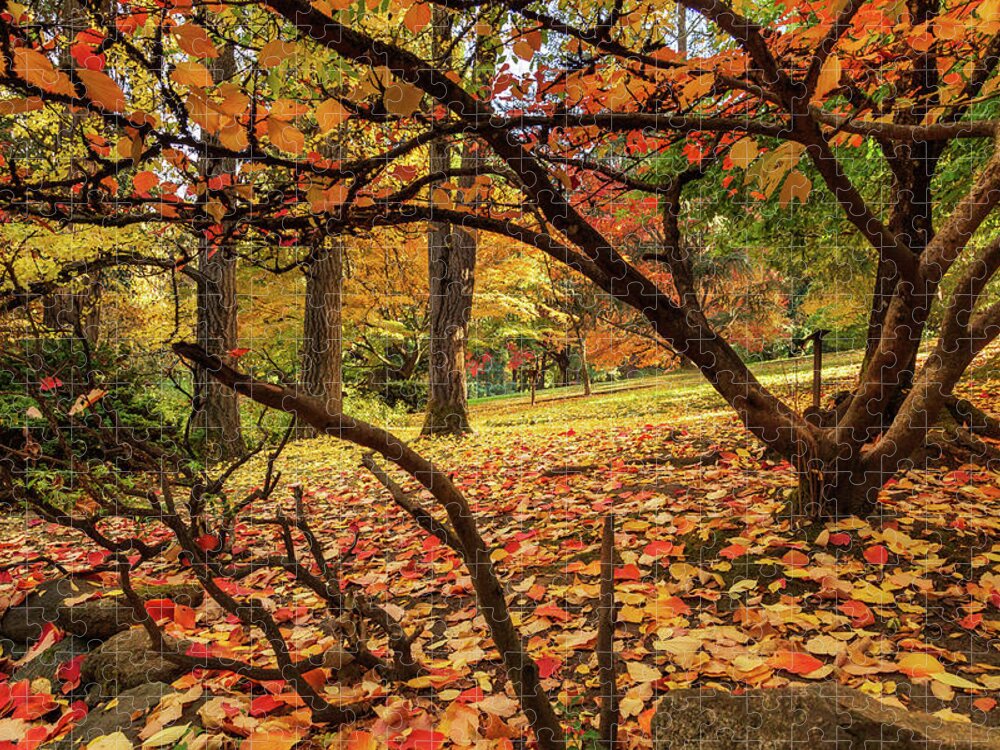 Autumn Jigsaw Puzzle featuring the photograph Autumn Leaves In Ashland by James Eddy