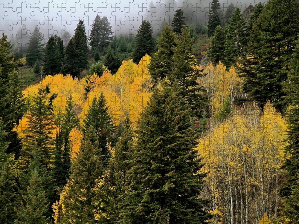Owyhee Mountains Jigsaw Puzzle featuring the photograph Autumn Mist Owyhee Mountains by Ed Riche