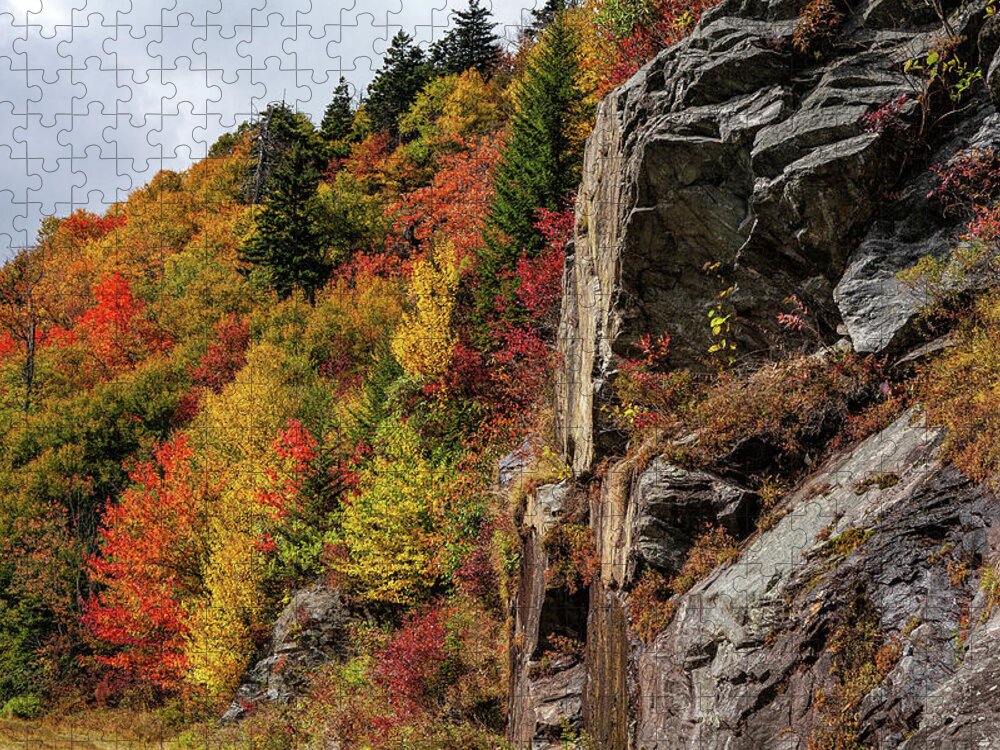 Autumn Jigsaw Puzzle featuring the photograph Autumn on the Mountain by Dan Carmichael