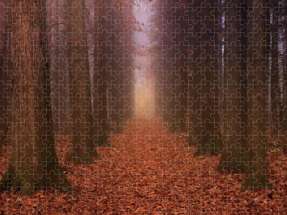  Jigsaw Puzzle featuring the photograph Autumn Pathway by Rob Blair