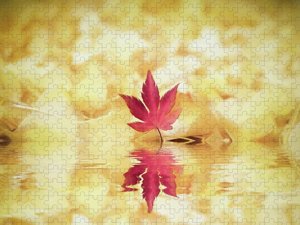 Autumn Jigsaw Puzzle featuring the photograph Autumn by Philippe Sainte-Laudy
