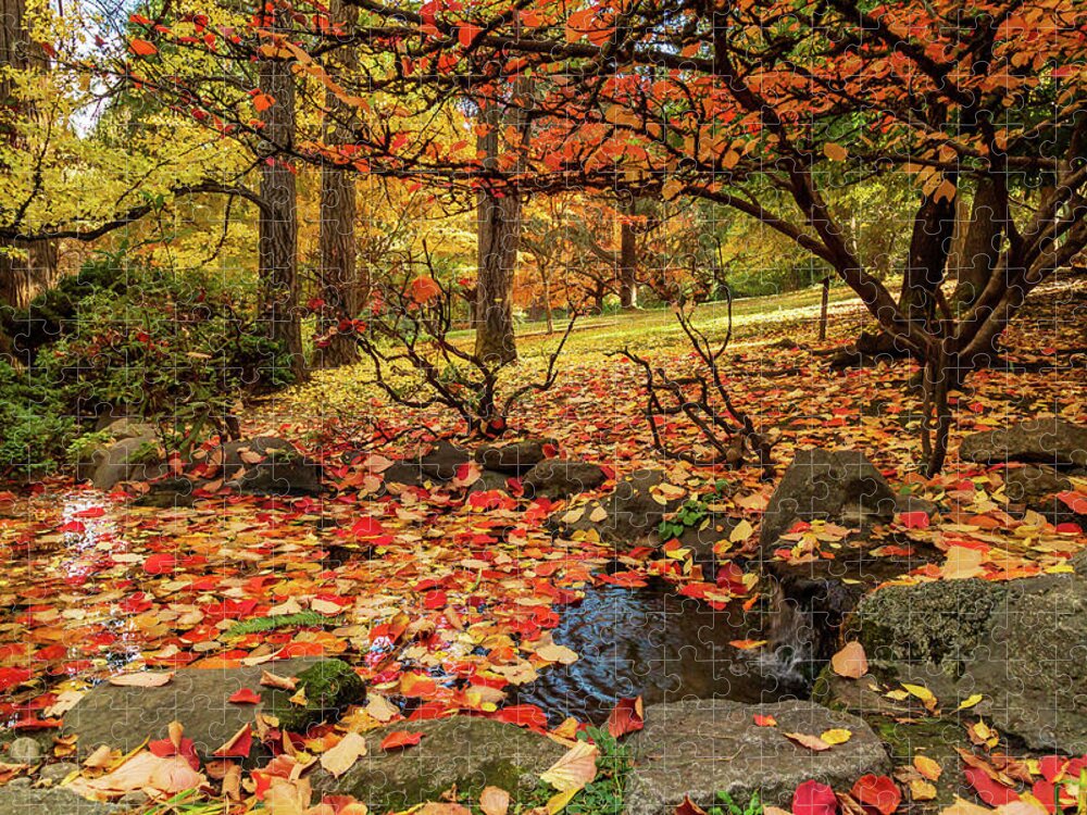 Autumn Jigsaw Puzzle featuring the photograph Autumn Pond In Lithia Park by James Eddy