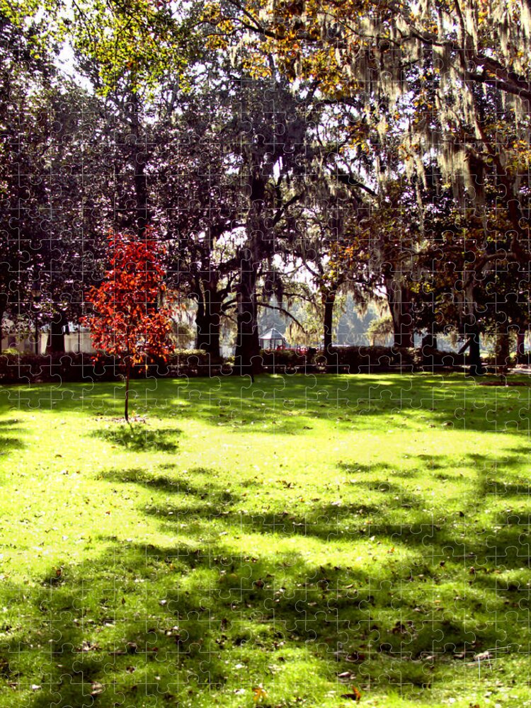 Forsyth Park Jigsaw Puzzle featuring the photograph Autumn Red by Theresa Fairchild