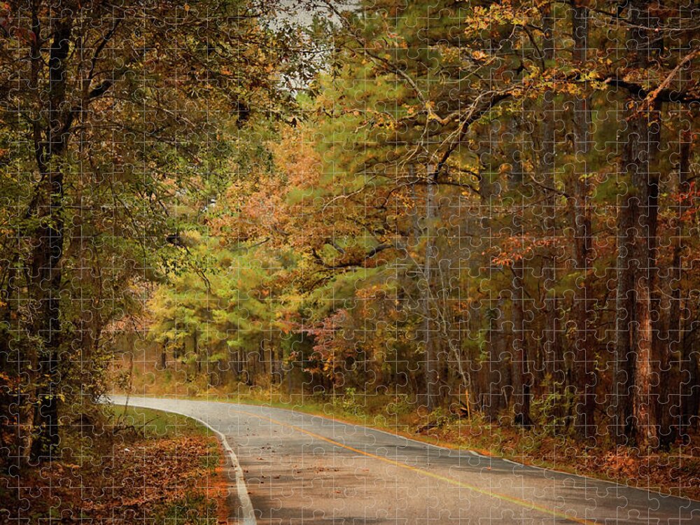 Arkansas Jigsaw Puzzle featuring the photograph Autumn Road by Lana Trussell