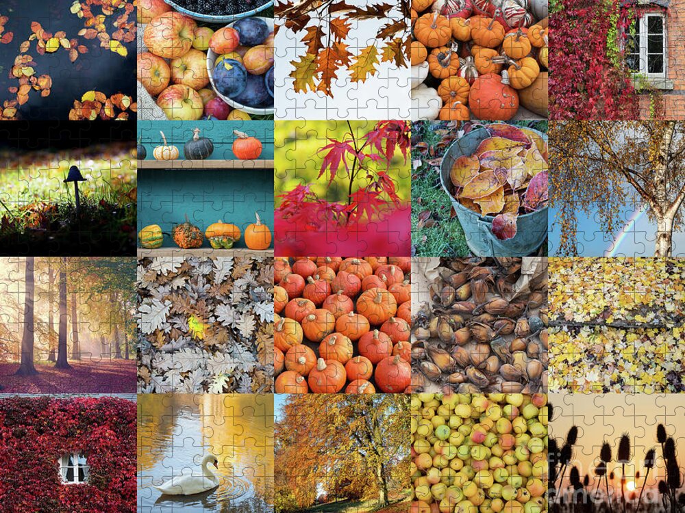 Autumn Jigsaw Puzzle featuring the photograph Autumn Splendour by Tim Gainey