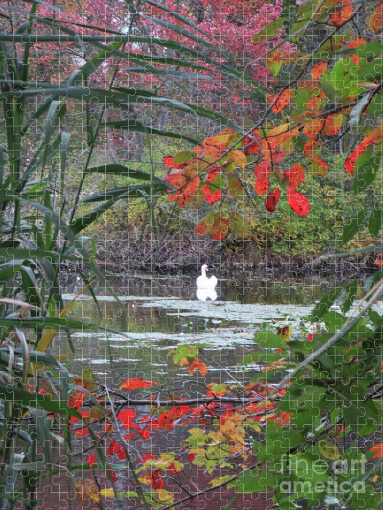 Swan Jigsaw Puzzle featuring the photograph Autumn Swan Long Island by Mars Besso