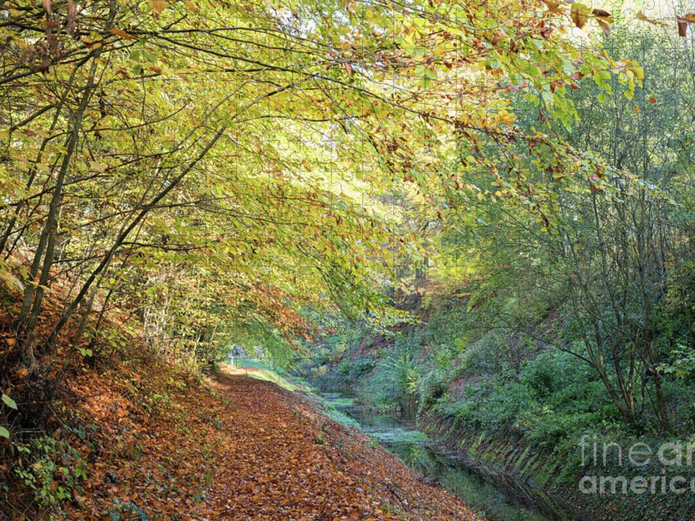 Beech Trees Jigsaw Puzzle featuring the photograph Autumn Trees Along The Old Cotswold Sapperton Canal by Tim Gainey