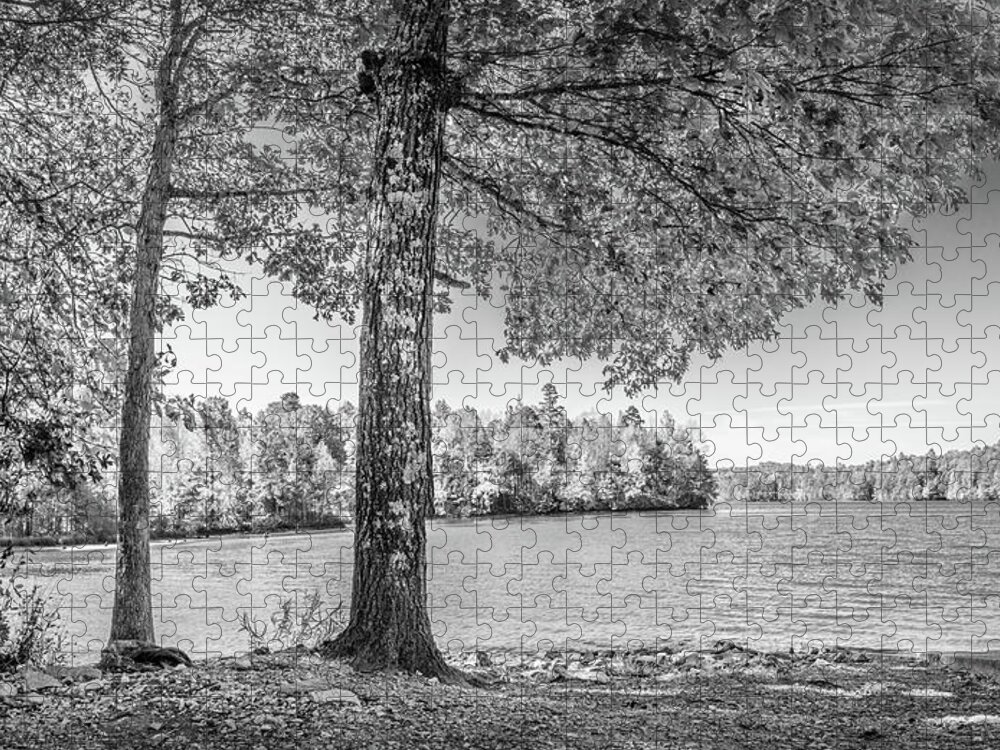 Black Jigsaw Puzzle featuring the photograph Autumn Trees at the Lake's Edge Black and White by Debra and Dave Vanderlaan