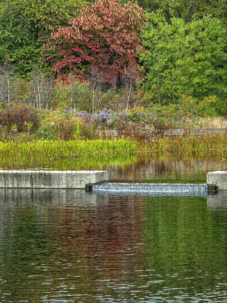 Bronx Botanical Gardens Jigsaw Puzzle featuring the photograph Autumn Water Reflections by Cate Franklyn