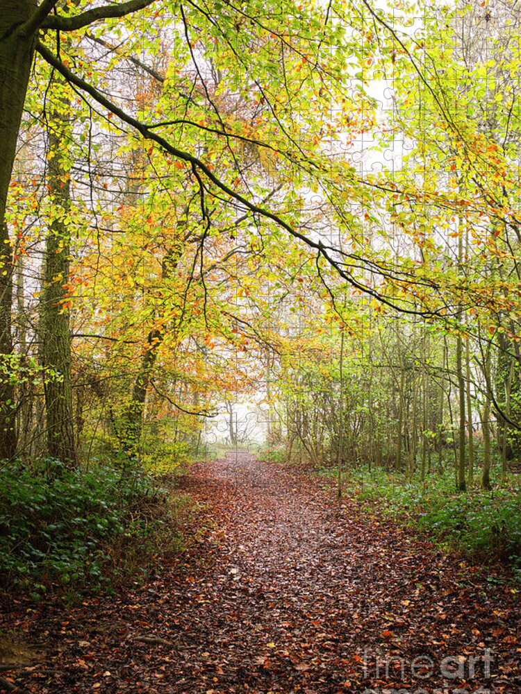 Autumn Jigsaw Puzzle featuring the photograph Autumnal Woodland Path in the English Countryside by Tim Gainey