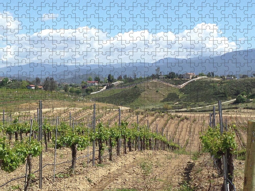 Avensole Jigsaw Puzzle featuring the photograph Avensole Vineyard Temecula by Roxy Rich