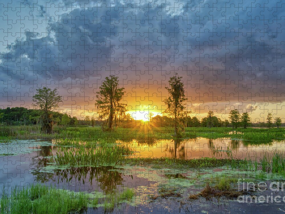 Usa Jigsaw Puzzle featuring the photograph Awakening by Brian Kamprath