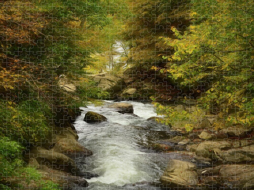 Scenic Jigsaw Puzzle featuring the photograph Babbling Brook In The Woods by Kathy Baccari