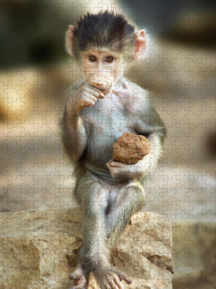 Baboon Jigsaw Puzzle featuring the photograph Baboon Baby by Yuri Peress