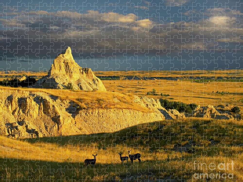 00175613 Jigsaw Puzzle featuring the photograph Badlands Mule Deer by Tim Fitzharris