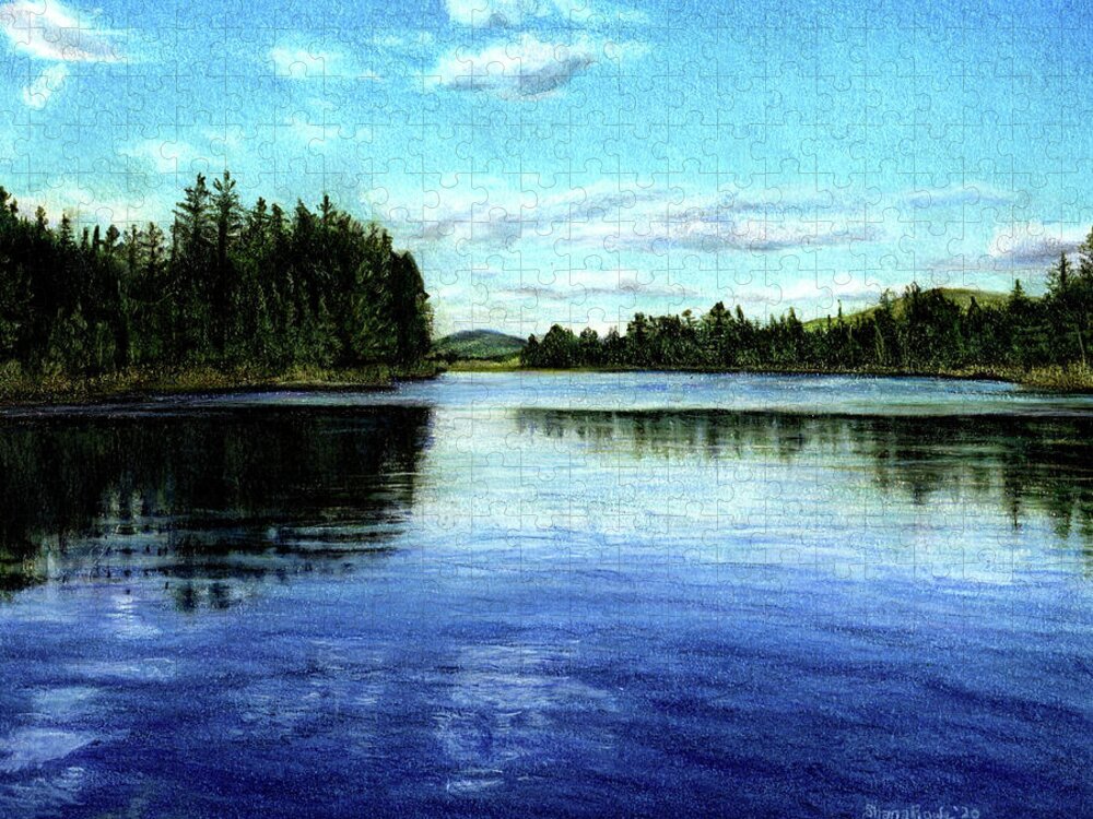 Maine Jigsaw Puzzle featuring the drawing Baker Pond by Shana Rowe Jackson