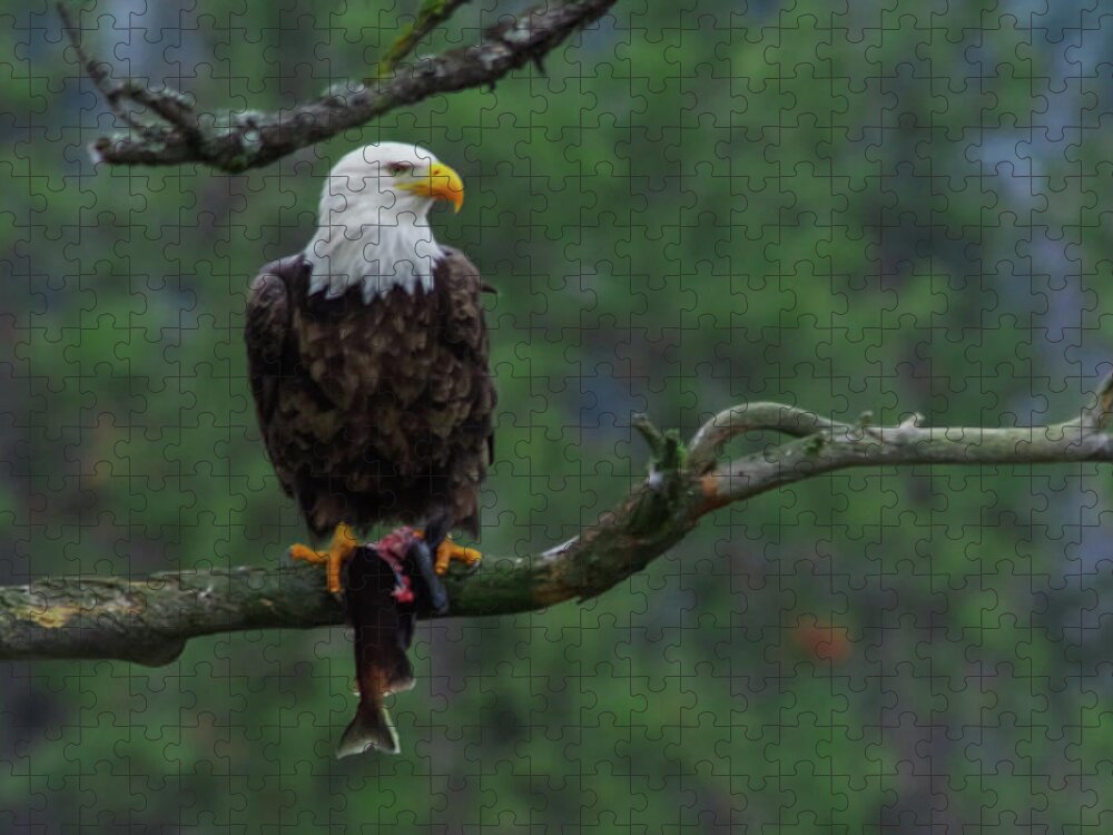 Eagle Jigsaw Puzzle featuring the photograph Eagle with fish pinned to a limb by Jeff Swan