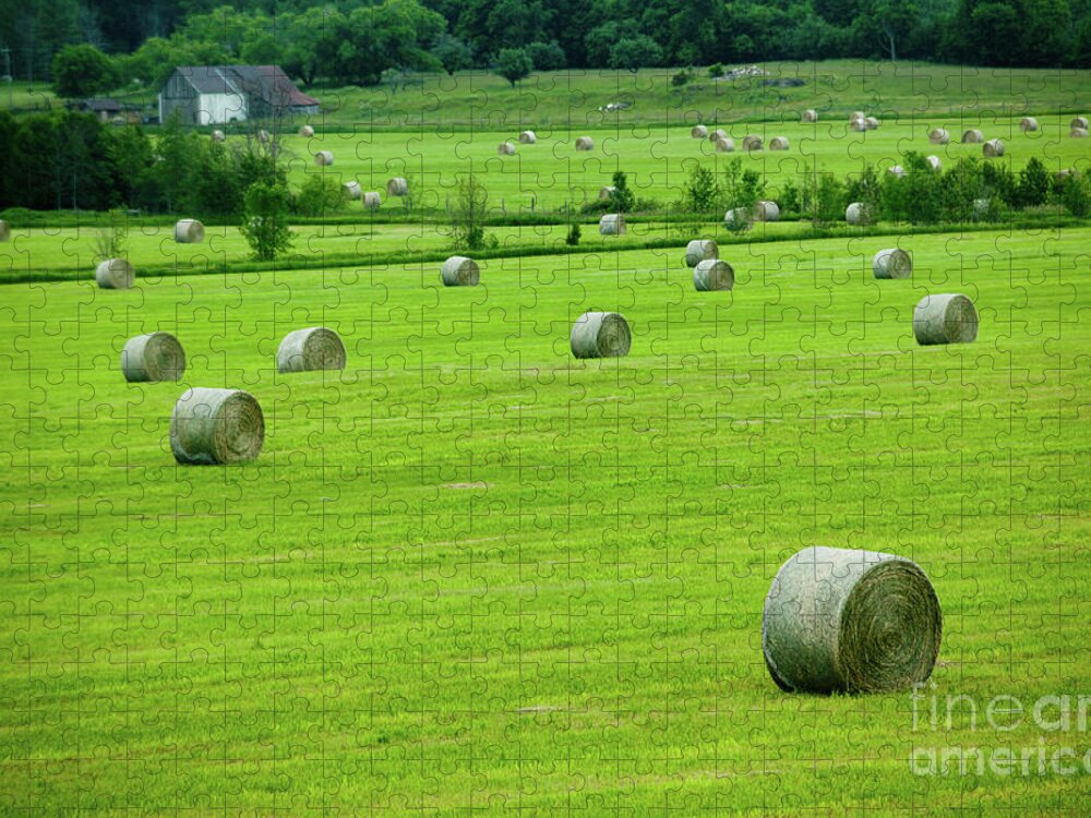 Bales Jigsaw Puzzle featuring the photograph Bales of Hay in the Field by Rich S