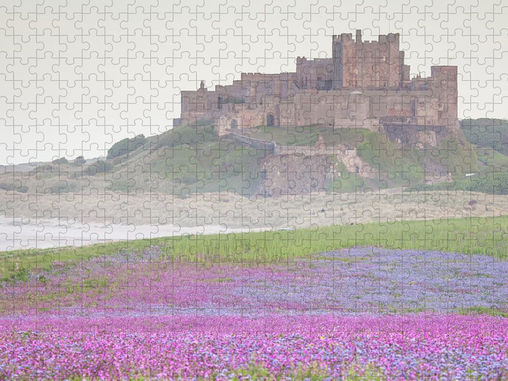 Bamburgh Castle Jigsaw Puzzle featuring the photograph Bamburgh Castle with wild flower meadow by Anita Nicholson