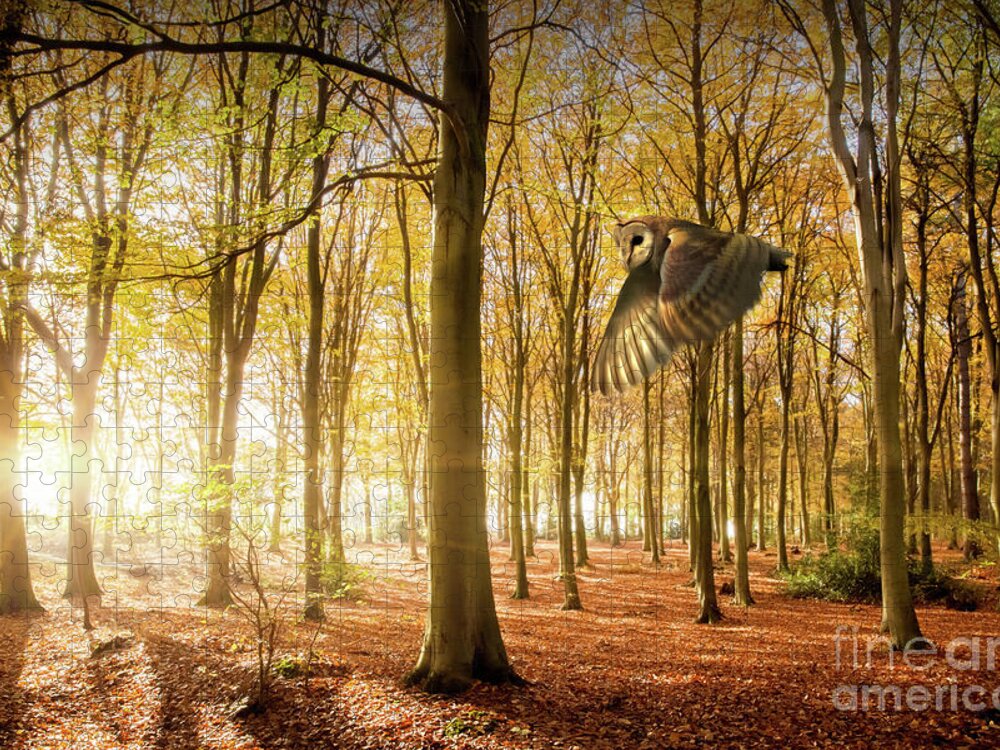Autumn Jigsaw Puzzle featuring the photograph Barn owl flying in autumn woodland by Simon Bratt