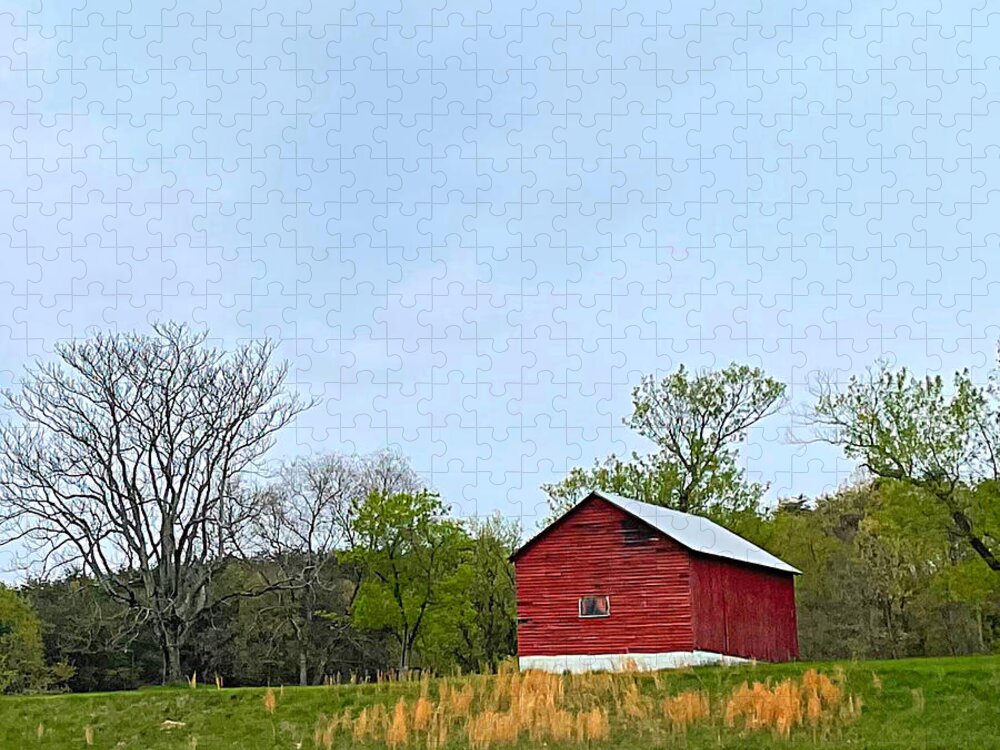 Barn Jigsaw Puzzle featuring the photograph Barn with Beard by Lee Darnell
