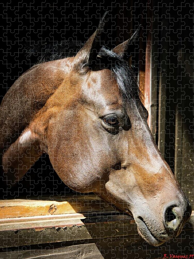 Horse Jigsaw Puzzle featuring the photograph Bay Mare In Barn by Rene Vasquez